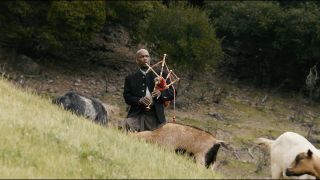 Livingston's Free Time